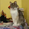 Отзыв от Серафима Гордеева